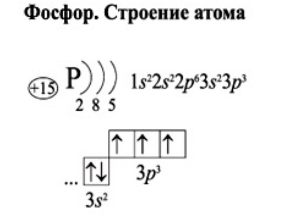 Строение атома фосфора. 2. Аллотропия фосфора. 3. Физические свойства. 4. Химические свойства. 5. Получение. 6. Применение. 7. Биологическое значение фосфора.